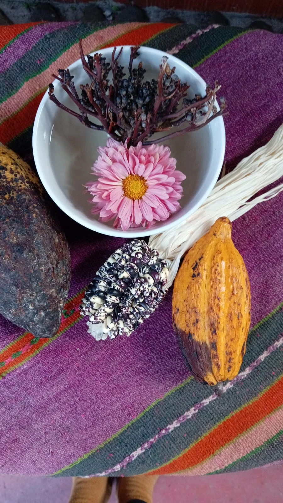 Andean ceremonial objects — cacao, corn, flowers, stone on woven textile
