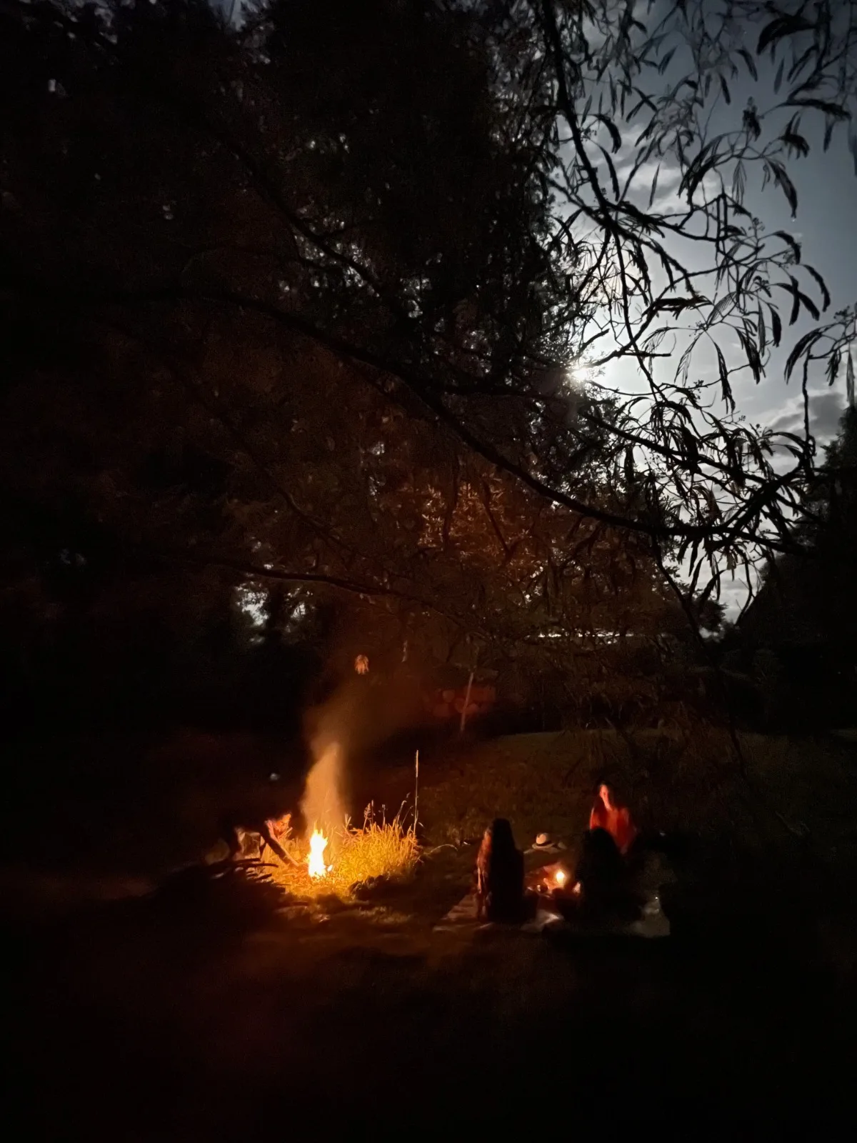 Group gathered around a campfire at night beneath moonlit trees